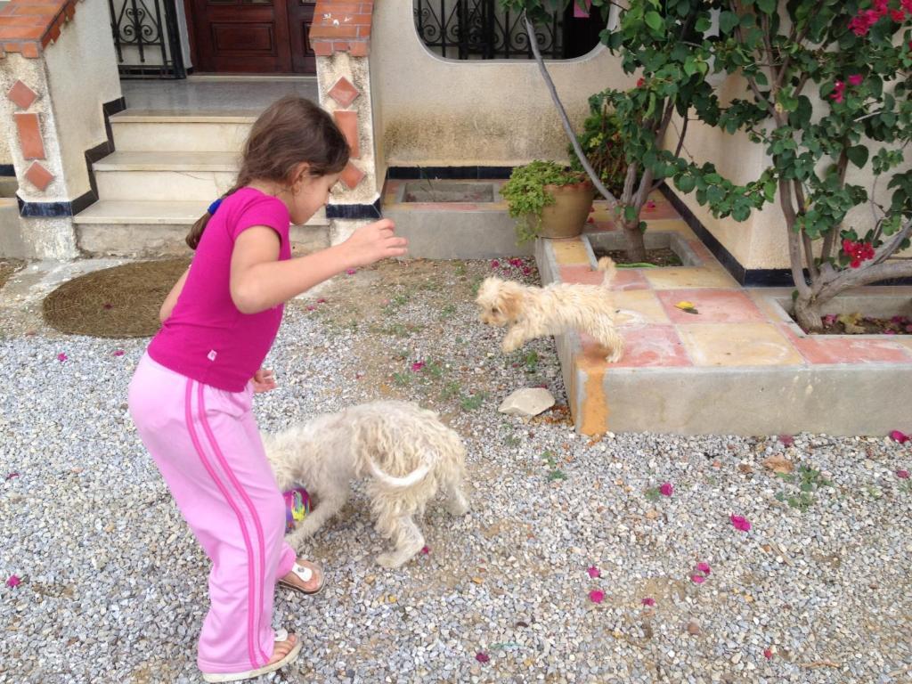 Dar Salima Bed & Breakfast Mornag Bagian luar foto