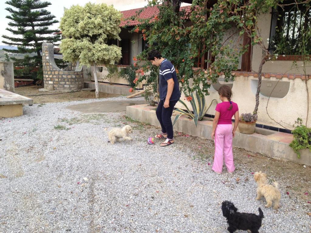 Dar Salima Bed & Breakfast Mornag Bagian luar foto